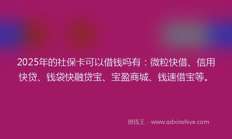 2025年的社保卡可以借钱吗有：微粒快借、信用快贷、钱袋快融贷宝、宝盈商城、钱速借宝等。