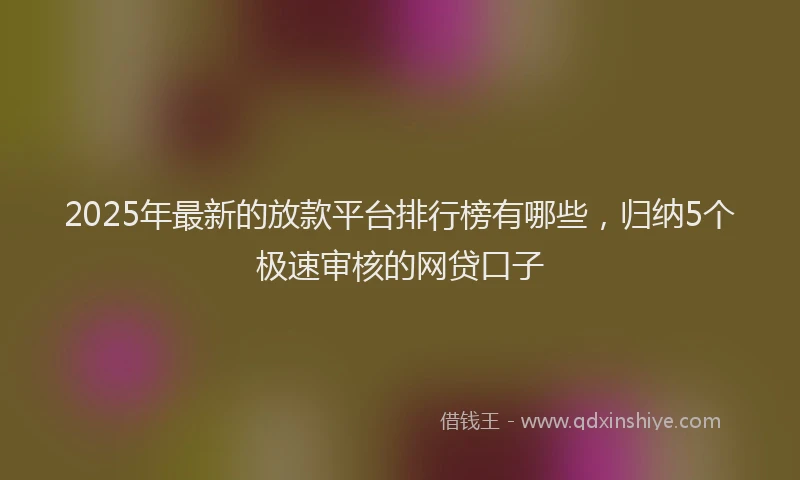 2025年最新的放款平台排行榜有哪些，归纳5个极速审核的网贷口子