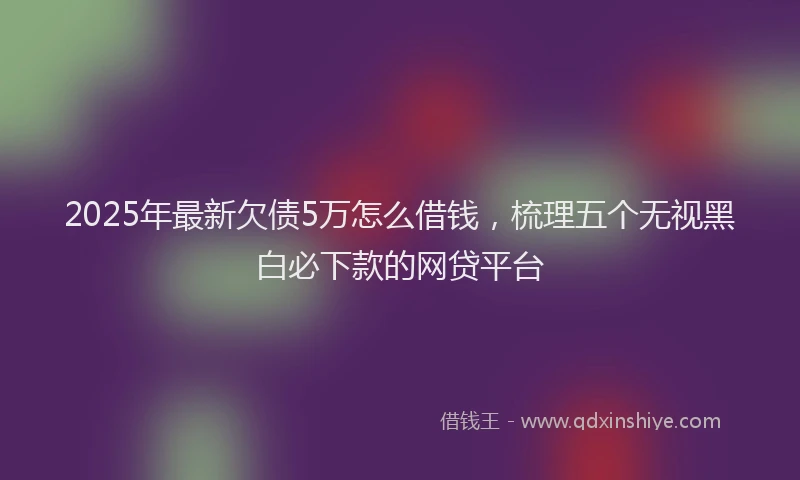 2025年最新欠债5万怎么借钱，梳理五个无视黑白必下款的网贷平台