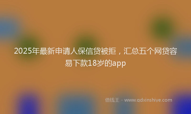 2025年最新申请人保信贷被拒，汇总五个网贷容易下款18岁的app