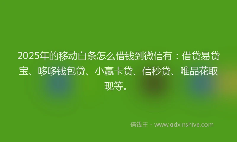 2025年的移动白条怎么借钱到微信有：借贷易贷宝、哆哆钱包贷、小赢卡贷、信秒贷、唯品花取现等。