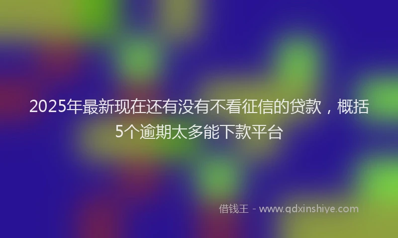 2025年最新现在还有没有不看征信的贷款，概括5个逾期太多能下款平台