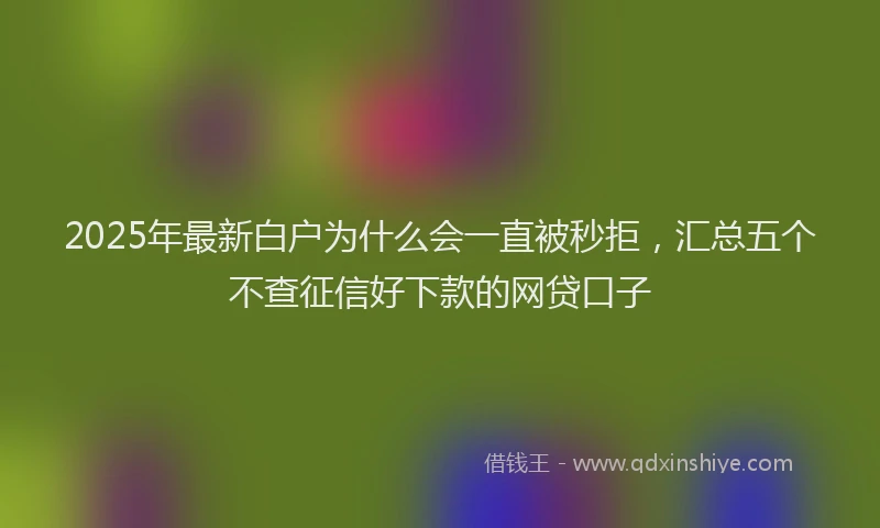 2025年最新白户为什么会一直被秒拒，汇总五个不查征信好下款的网贷口子
