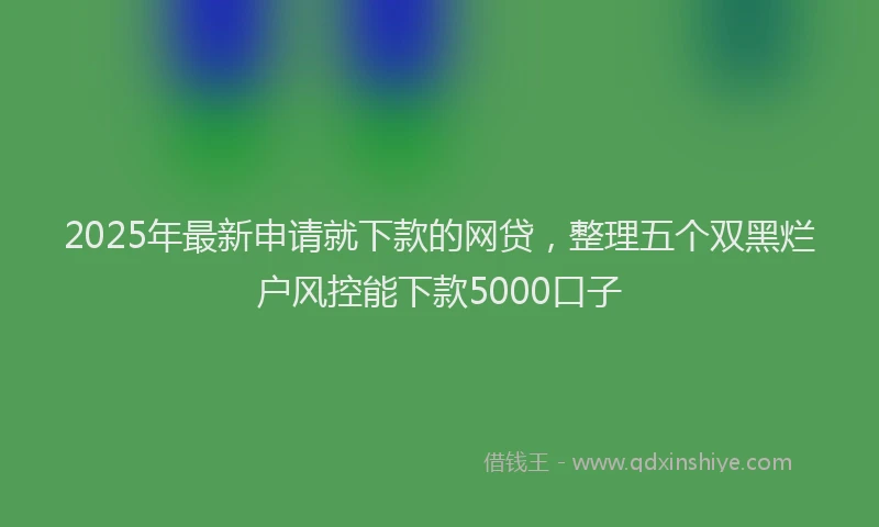 2025年最新申请就下款的网贷，整理五个双黑烂户风控能下款5000口子