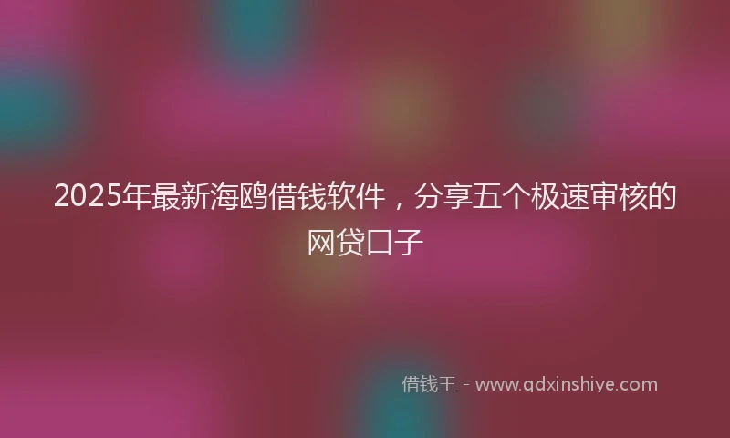 2025年最新海鸥借钱软件，分享五个极速审核的网贷口子