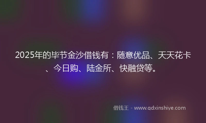 2025年的毕节金沙借钱有：随意优品、天天花卡、今日购、陆金所、快融贷等。