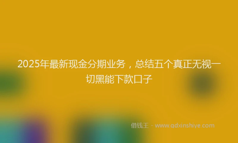 2025年最新现金分期业务，总结五个真正无视一切黑能下款口子