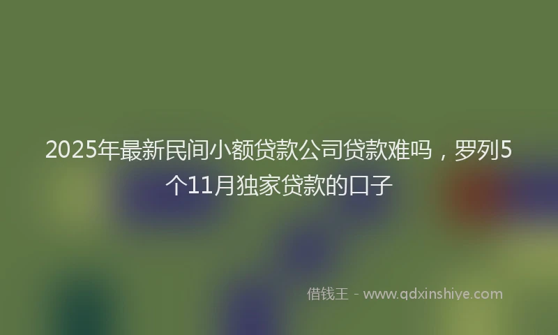2025年最新民间小额贷款公司贷款难吗，罗列5个11月独家贷款的口子