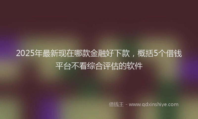 2025年最新现在哪款金融好下款，概括5个借钱平台不看综合评估的软件