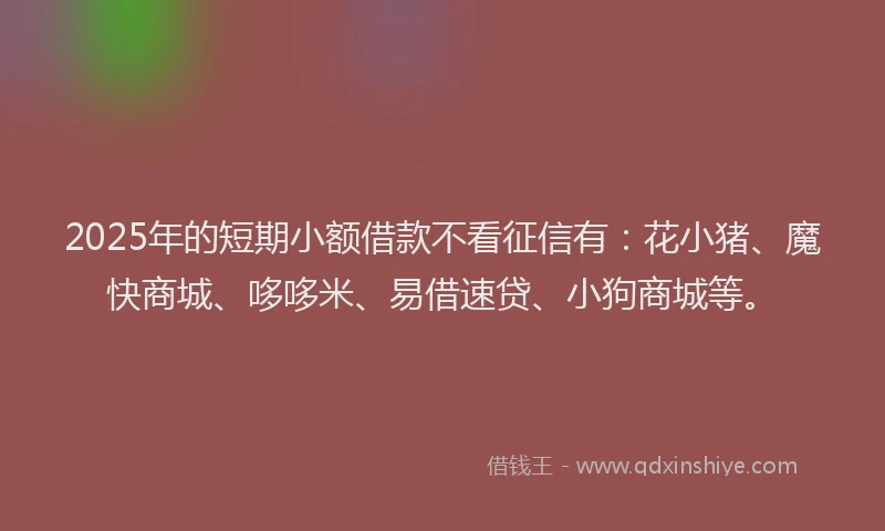 2025年的短期小额借款不看征信有：花小猪、魔快商城、哆哆米、易借速贷、小狗商城等。
