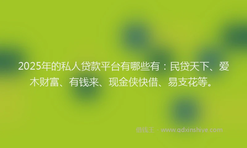 2025年的私人贷款平台有哪些有：民贷天下、爱木财富、有钱来、现金侠快借、易支花等。