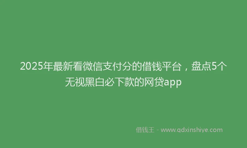 2025年最新看微信支付分的借钱平台，盘点5个无视黑白必下款的网贷app