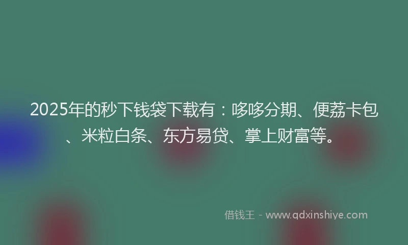2025年的秒下钱袋下载有：哆哆分期、便荔卡包、米粒白条、东方易贷、掌上财富等。