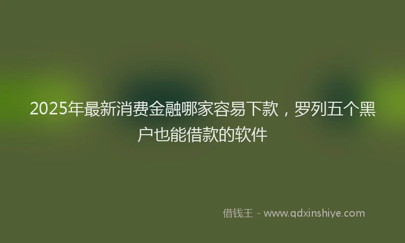 2025年最新消费金融哪家容易下款，罗列五个黑户也能借款的软件