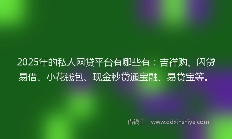 2025年的私人网贷平台有哪些有：吉祥购、闪贷易借、小花钱包、现金秒贷通宝融、易贷宝等。