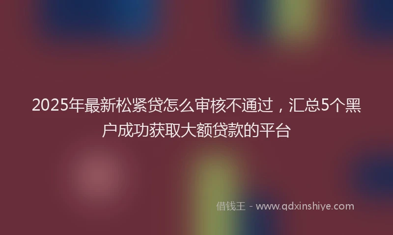 2025年最新松紧贷怎么审核不通过，汇总5个黑户成功获取大额贷款的平台