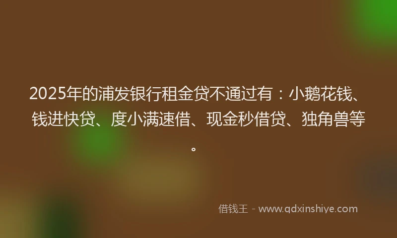 2025年的浦发银行租金贷不通过有：小鹅花钱、钱进快贷、度小满速借、现金秒借贷、独角兽等。