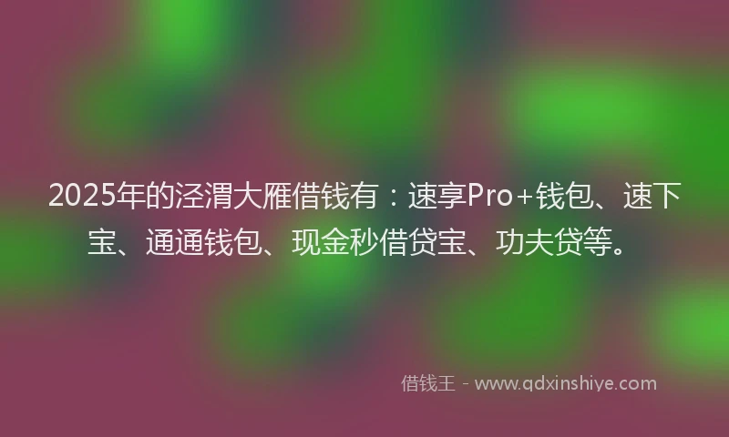 2025年的泾渭大雁借钱有：速享Pro+钱包、速下宝、通通钱包、现金秒借贷宝、功夫贷等。