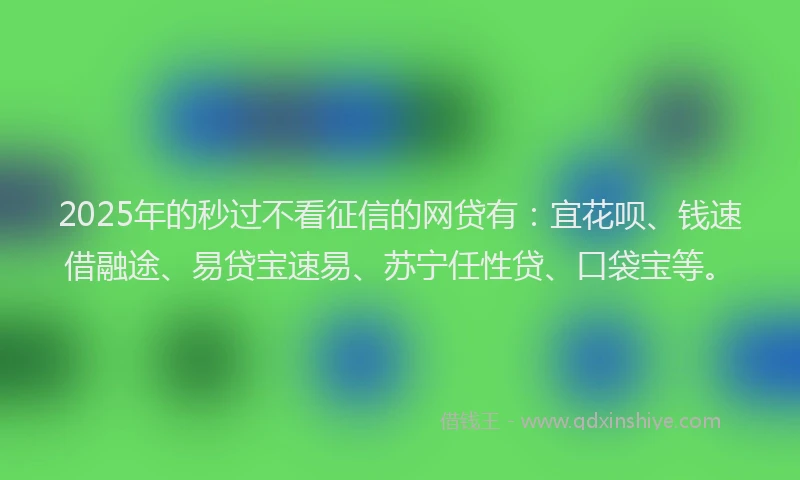 2025年的秒过不看征信的网贷有：宜花呗、钱速借融途、易贷宝速易、苏宁任性贷、口袋宝等。