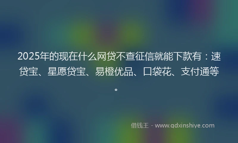 2025年的现在什么网贷不查征信就能下款有：速贷宝、星愿贷宝、易橙优品、口袋花、支付通等。