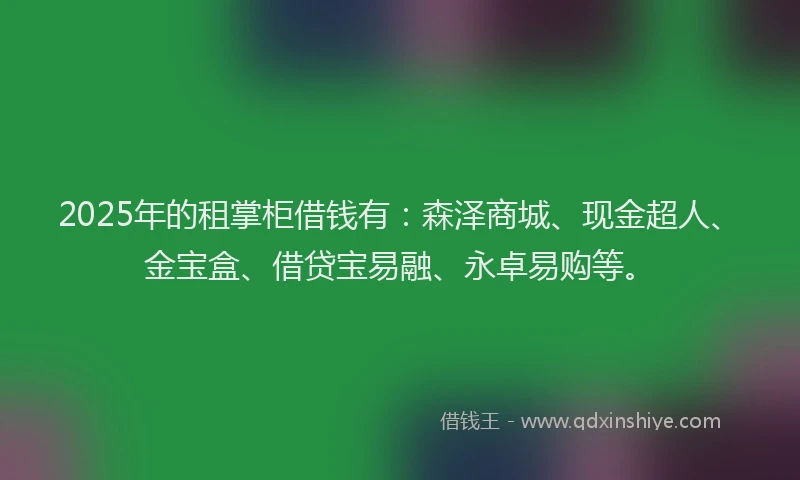 2025年的租掌柜借钱有：森泽商城、现金超人、金宝盒、借贷宝易融、永卓易购等。