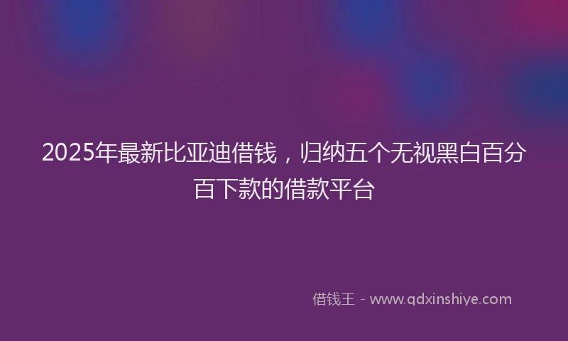 2025年最新比亚迪借钱，归纳五个无视黑白百分百下款的借款平台