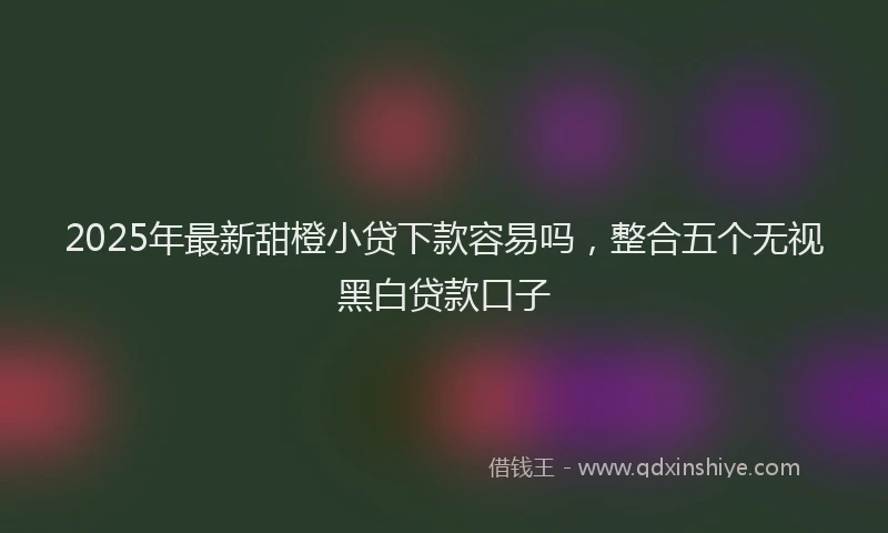2025年最新甜橙小贷下款容易吗，整合五个无视黑白贷款口子