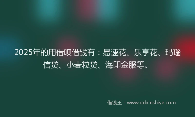 2025年的用借呗借钱有：易速花、乐享花、玛瑙信贷、小麦粒贷、海印金服等。