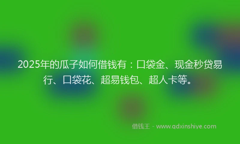 2025年的瓜子如何借钱有：口袋金、现金秒贷易行、口袋花、超易钱包、超人卡等。