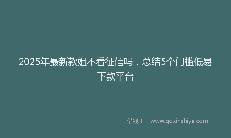 2025年最新款姐不看征信吗，总结5个门槛低易下款平台