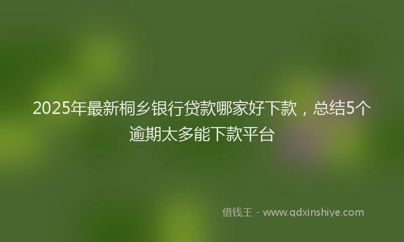 2025年最新桐乡银行贷款哪家好下款，总结5个逾期太多能下款平台