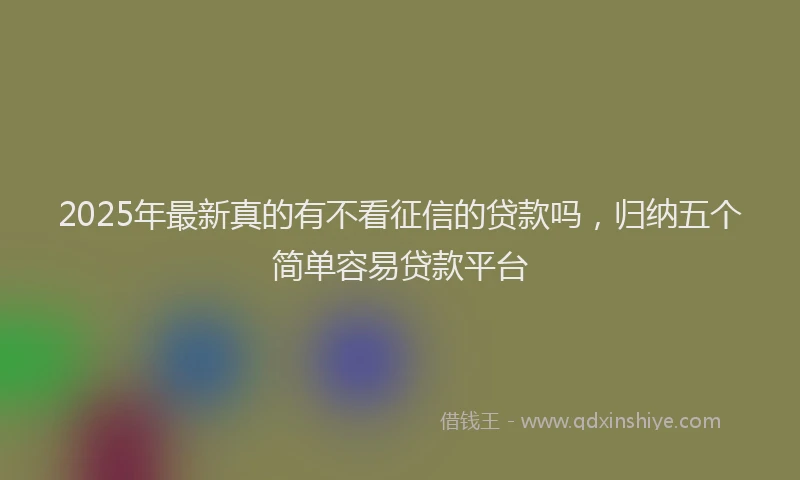 2025年最新真的有不看征信的贷款吗，归纳五个简单容易贷款平台