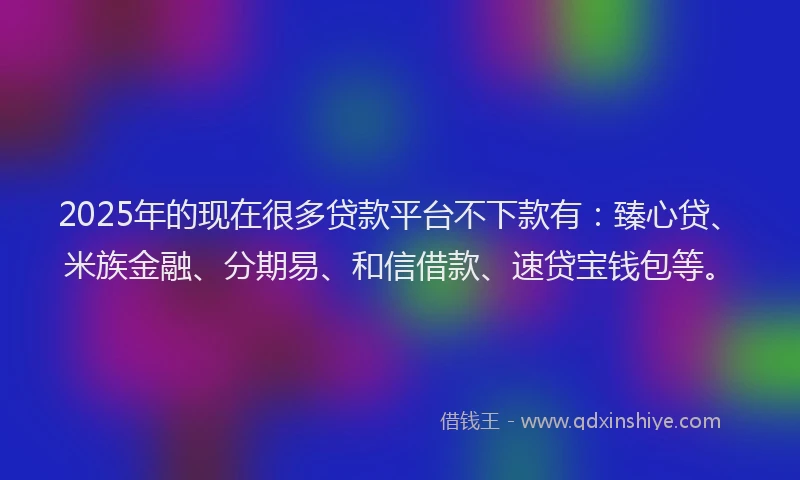 2025年的现在很多贷款平台不下款有：臻心贷、米族金融、分期易、和信借款、速贷宝钱包等。