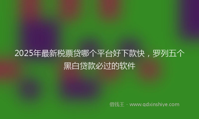 2025年最新税票贷哪个平台好下款快,罗列五个黑白贷款必过的软件