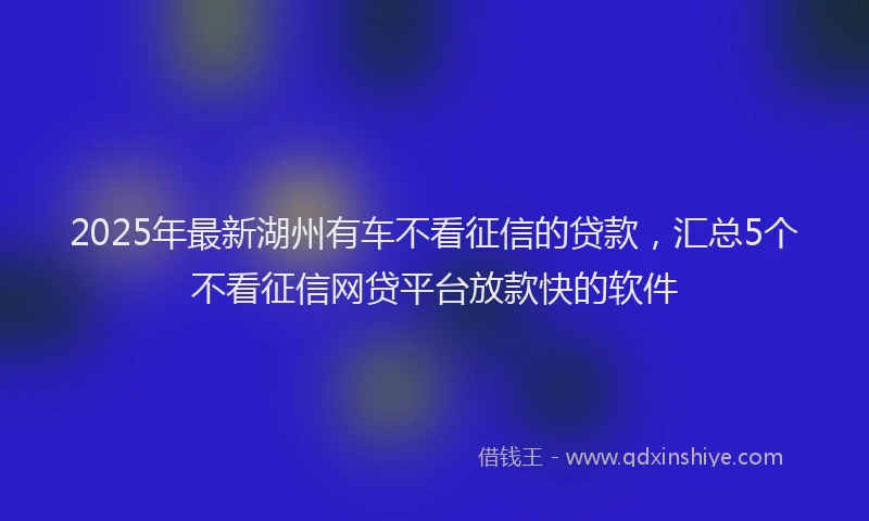 2025年最新湖州有车不看征信的贷款，汇总5个不看征信网贷平台放款快的软件