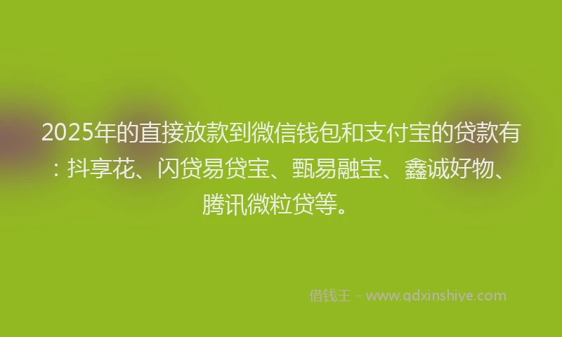 2025年的直接放款到微信钱包和支付宝的贷款有：抖享花、闪贷易贷宝、甄易融宝、鑫诚好物、腾讯微粒贷等。