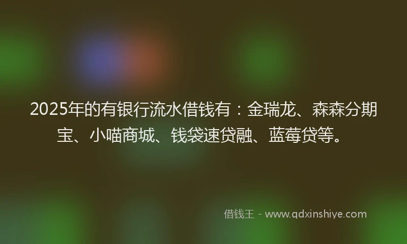 2025年的有银行流水借钱有：金瑞龙、森森分期宝、小喵商城、钱袋速贷融、蓝莓贷等。