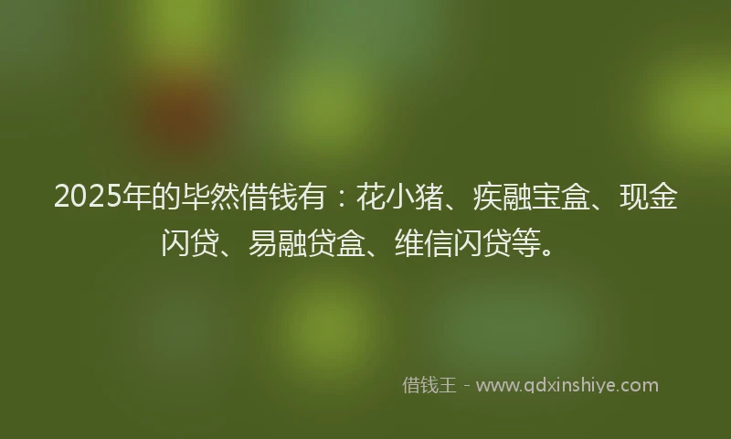 2025年的毕然借钱有：花小猪、疾融宝盒、现金闪贷、易融贷盒、维信闪贷等。