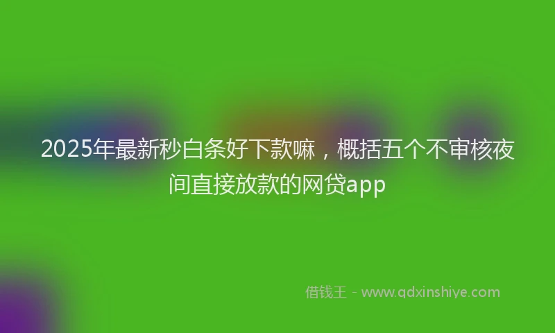 2025年最新秒白条好下款嘛，概括五个不审核夜间直接放款的网贷app