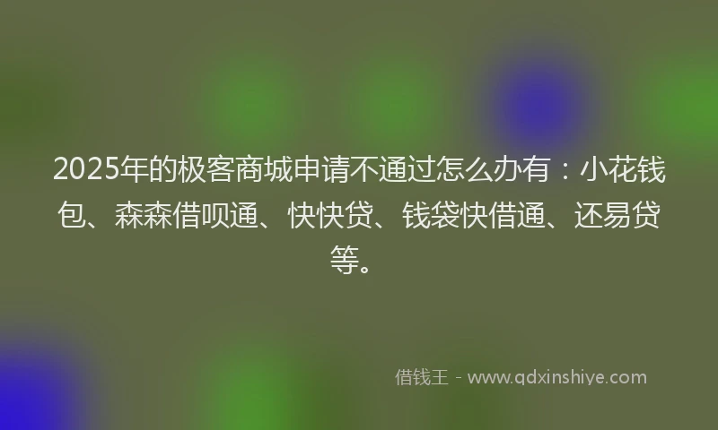 2025年的极客商城申请不通过怎么办有：小花钱包、森森借呗通、快快贷、钱袋快借通、还易贷等。