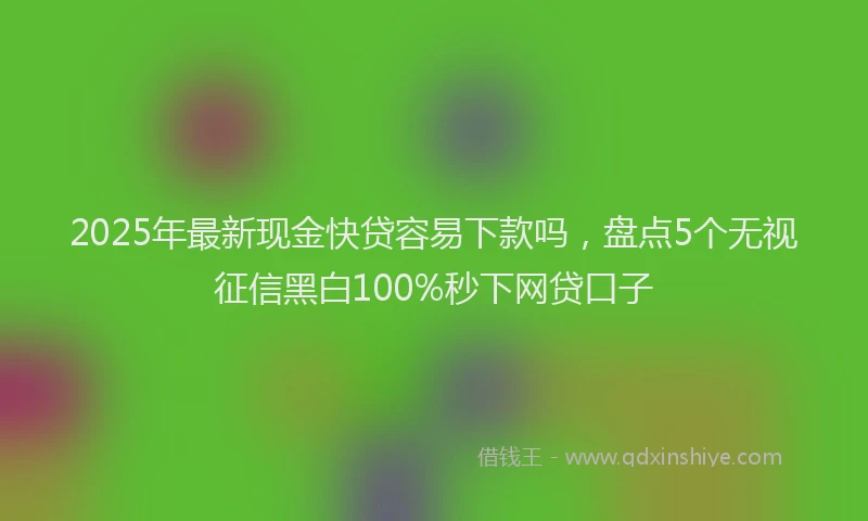 2025年最新现金快贷容易下款吗，盘点5个无视征信黑白100%秒下网贷口子