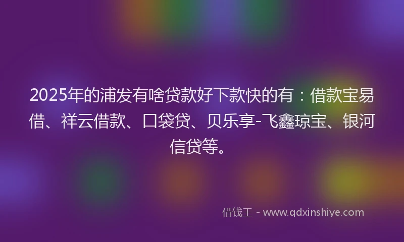 2025年的浦发有啥贷款好下款快的有：借款宝易借、祥云借款、口袋贷、贝乐享-飞鑫琼宝、银河信贷等。