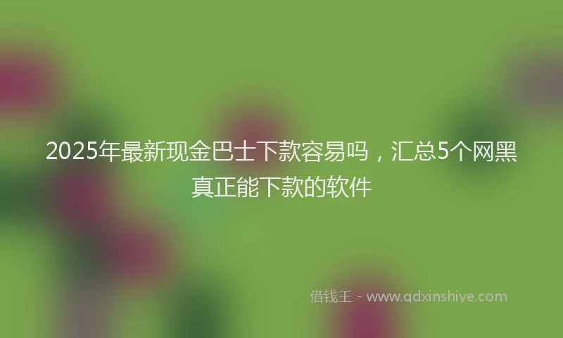 2025年最新现金巴士下款容易吗,汇总5个网黑真正能下款的软件
