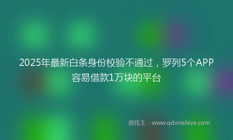 2025年最新白条身份校验不通过，罗列5个APP容易借款1万块的平台