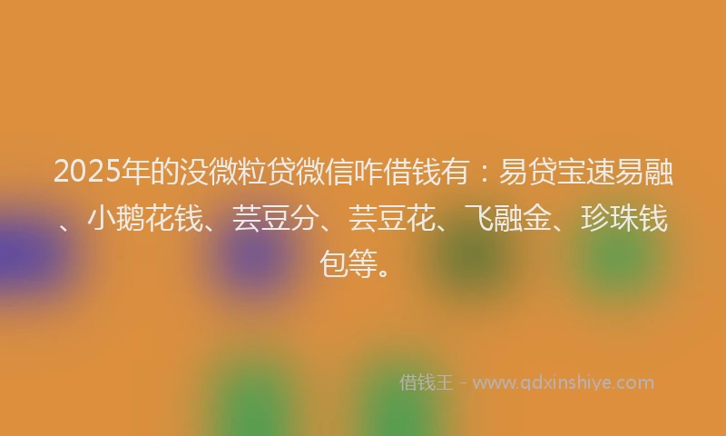 2025年的没微粒贷微信咋借钱有：易贷宝速易融、小鹅花钱、芸豆分、芸豆花、飞融金、珍珠钱包等。