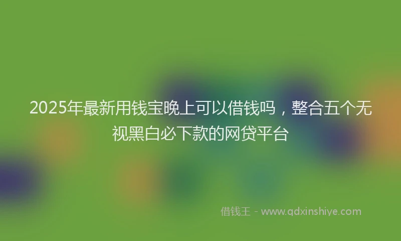 2025年最新用钱宝晚上可以借钱吗，整合五个无视黑白必下款的网贷平台