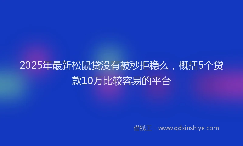 2025年最新松鼠贷没有被秒拒稳么，概括5个贷款10万比较容易的平台