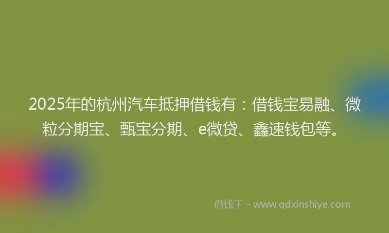 2025年的杭州汽车抵押借钱有：借钱宝易融、微粒分期宝、甄宝分期、e微贷、鑫速钱包等。