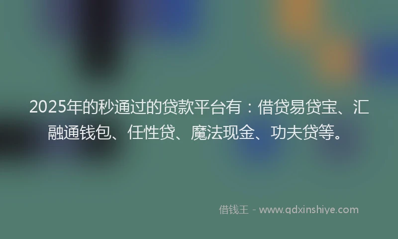 2025年的秒通过的贷款平台有：借贷易贷宝、汇融通钱包、任性贷、魔法现金、功夫贷等。