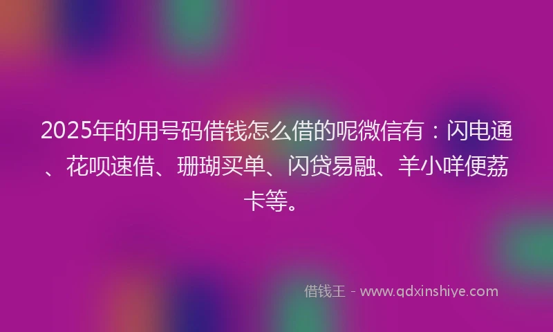 2025年的用号码借钱怎么借的呢微信有：闪电通、花呗速借、珊瑚买单、闪贷易融、羊小咩便荔卡等。